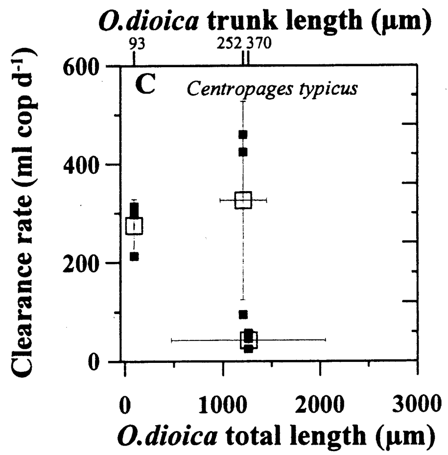 Espèce Centropages typicus - Carte de distribution 26