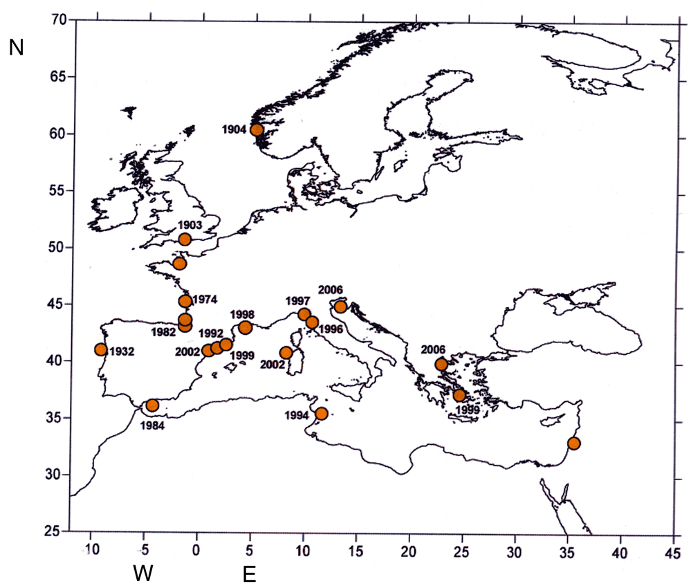 Espèce Paracartia grani - Carte de distribution 5