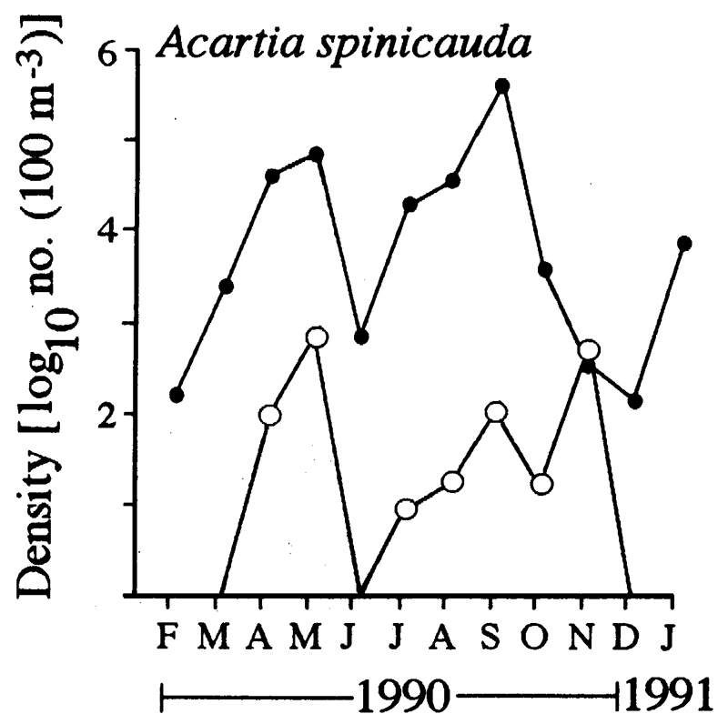 Species Acartia (Odontacartia) spinicauda - Distribution map 5