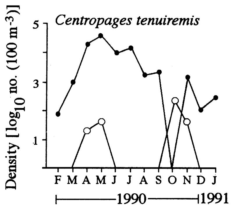 Espèce Centropages tenuiremis - Carte de distribution 4
