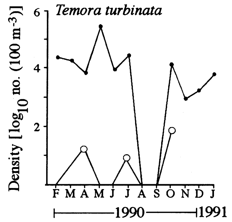 Espèce Temora turbinata - Carte de distribution 9