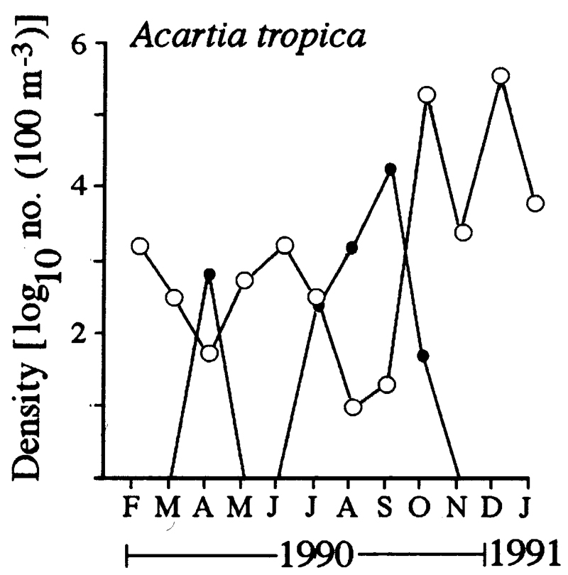 Espce Acartia (Acanthacartia) tropica - Carte de distribution 5