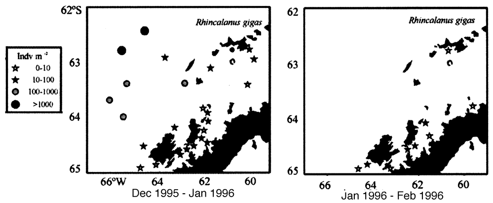 Species Rhincalanus gigas - Distribution map 27