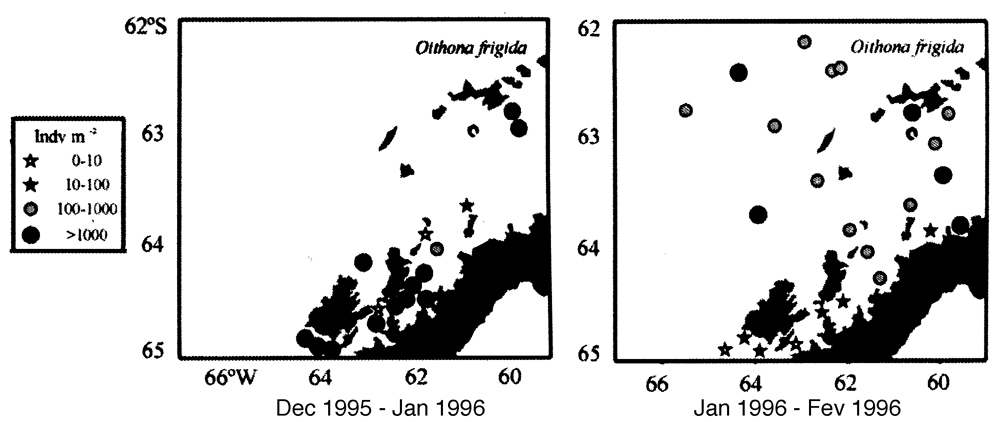 Species Oithona frigida - Distribution map 8
