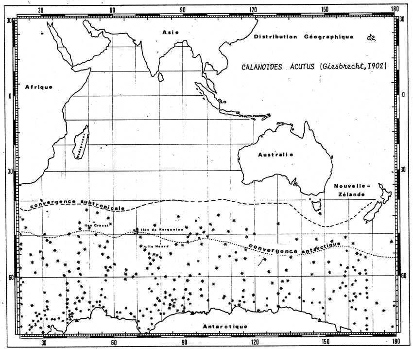 Espce Calanoides acutus - Carte de distribution 34