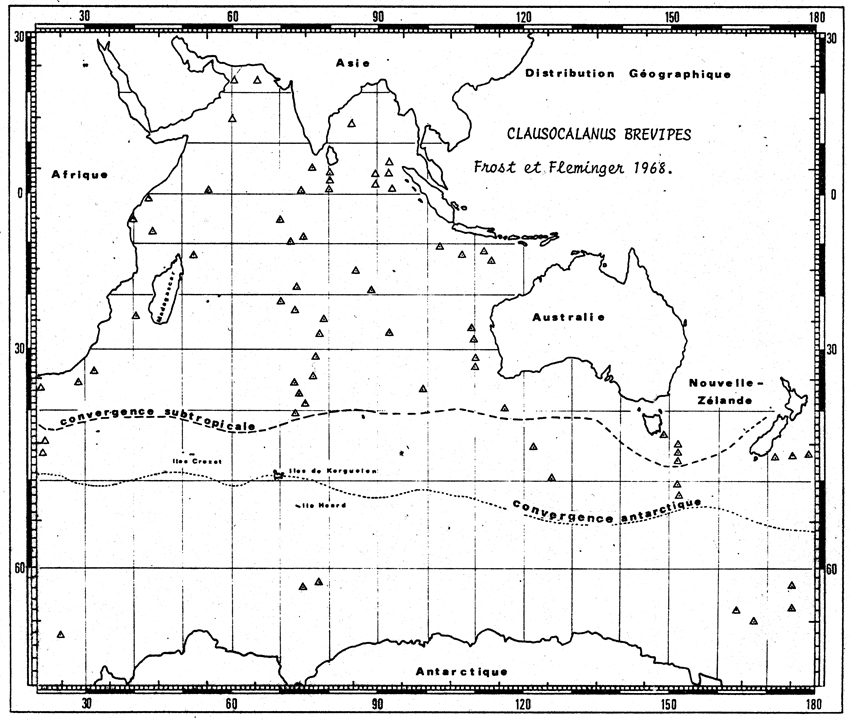 Espce Clausocalanus brevipes - Carte de distribution 7