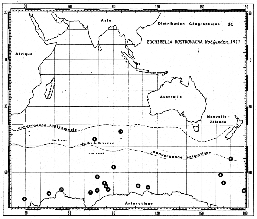 Espèce Euchirella rostromagna - Carte de distribution 7