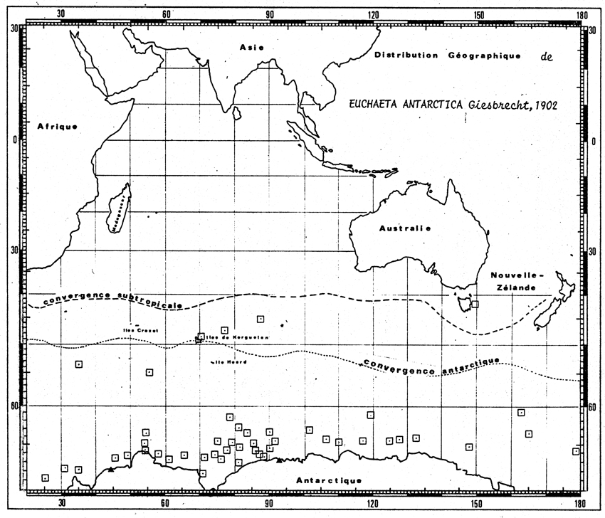 Species Paraeuchaeta antarctica - Distribution map 18