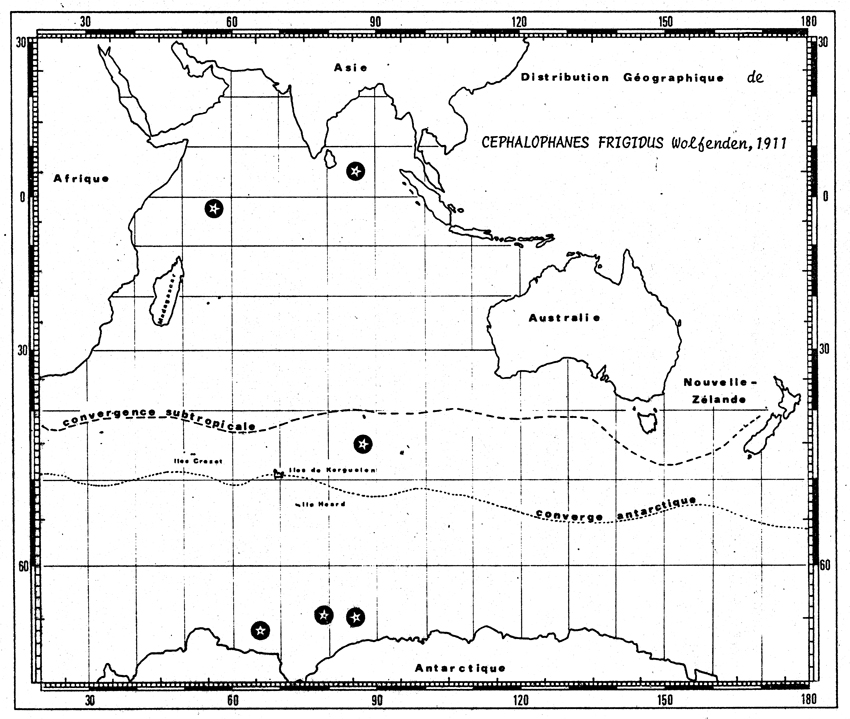 Species Cephalophanes frigidus - Distribution map 6