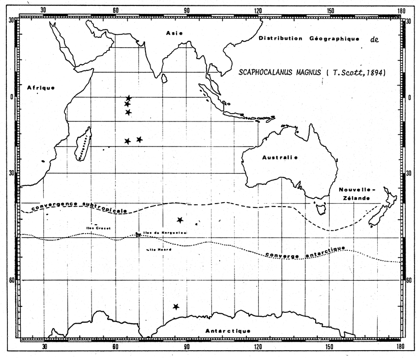 Species Scaphocalanus magnus - Distribution map 4