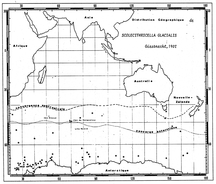 Espce Scolecithricella minor - Carte de distribution 8