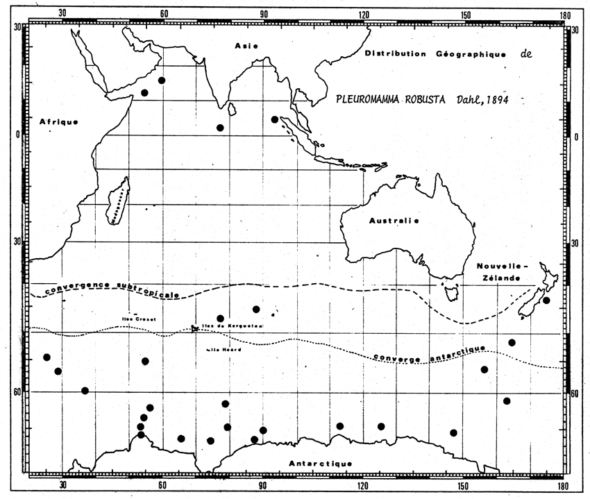 Espce Pleuromamma antarctica - Carte de distribution 3