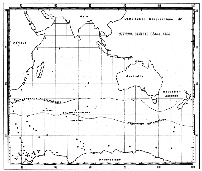 Species Oithona similis-Group - Distribution map 33