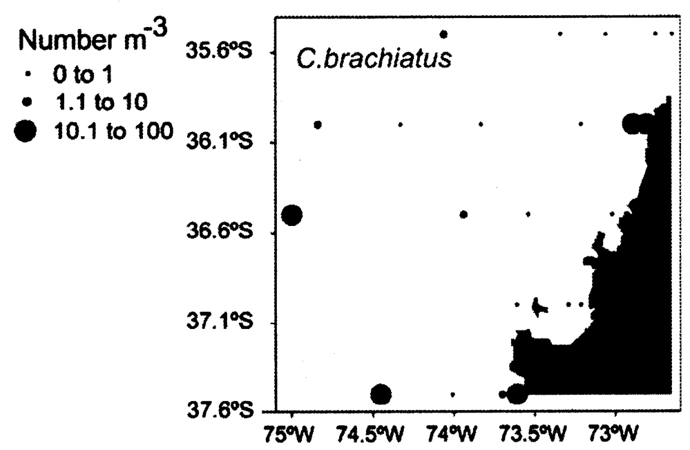 Espèce Centropages brachiatus - Carte de distribution 5