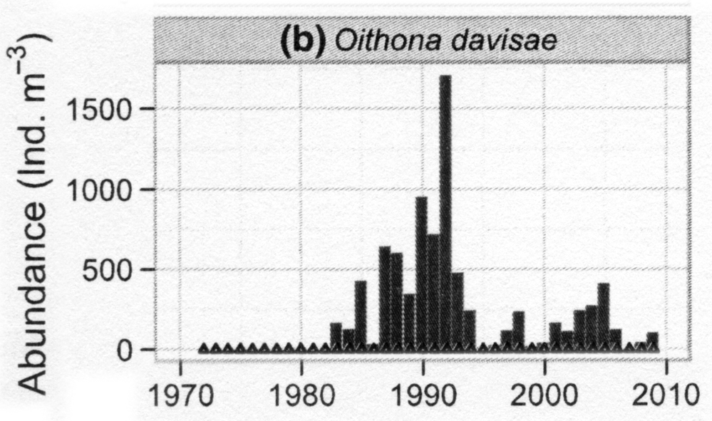 Species Oithona davisae - Distribution map 8