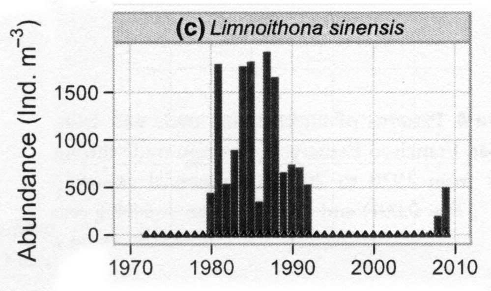Species Limnoithona sinensis - Distribution map 2