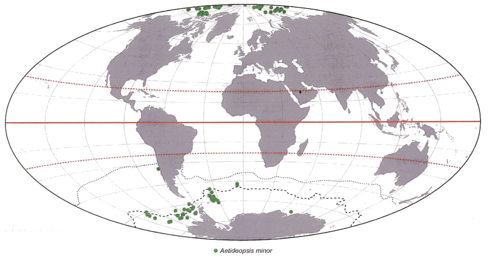 Espce Aetideopsis minor - Carte de distribution 6
