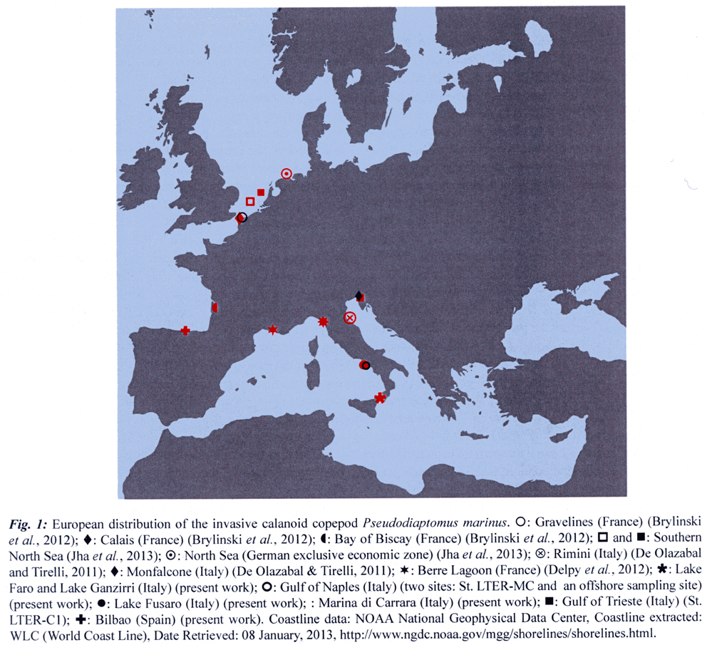 Espce Pseudodiaptomus marinus - Carte de distribution 6