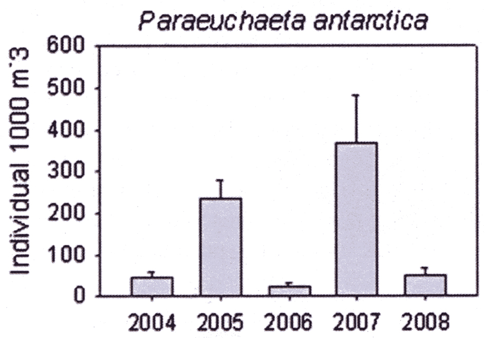 Species Paraeuchaeta antarctica - Distribution map 20