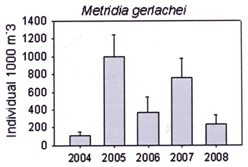 Species Metridia gerlachei - Distribution map 19