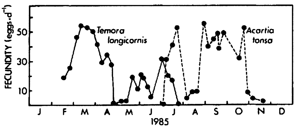Species Temora longicornis - Distribution map 61