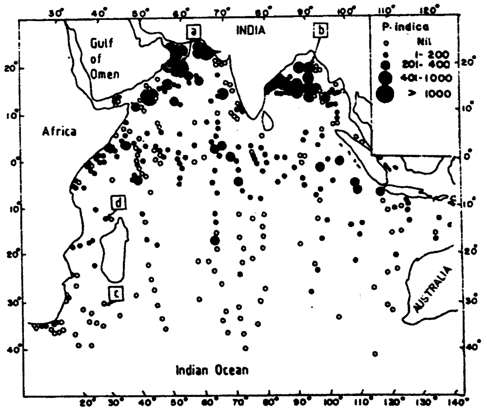 Species Pleuromamma indica - Distribution map 4