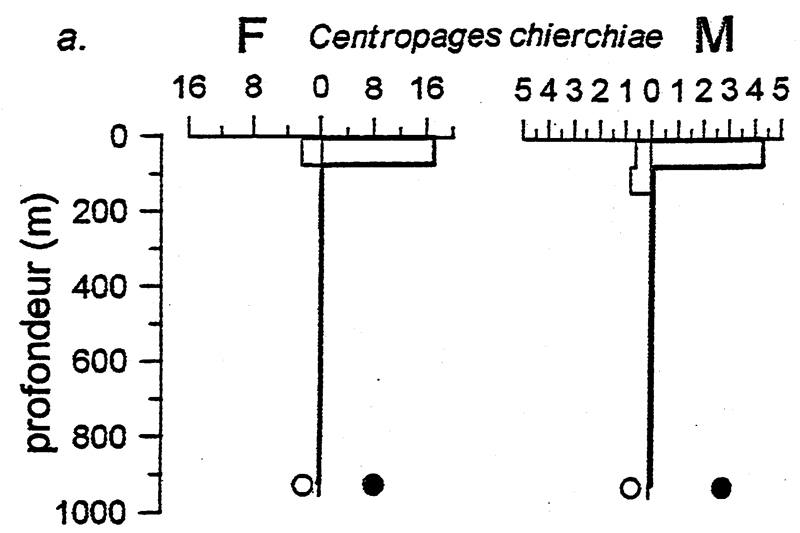 Espce Centropages chierchiae - Carte de distribution 10