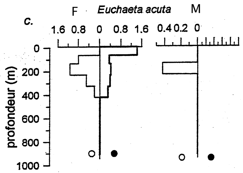 Espèce Euchaeta acuta - Carte de distribution 6