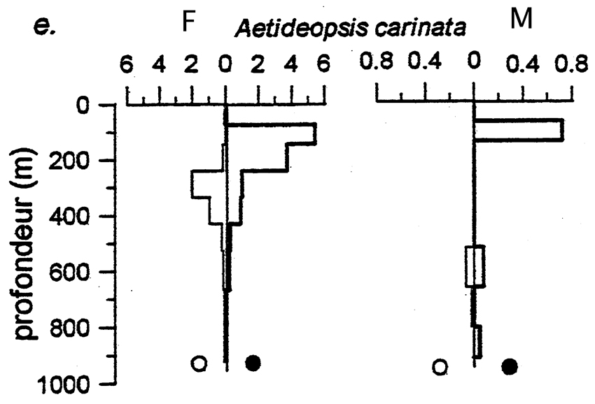 Species Aetideopsis carinata - Distribution map 3