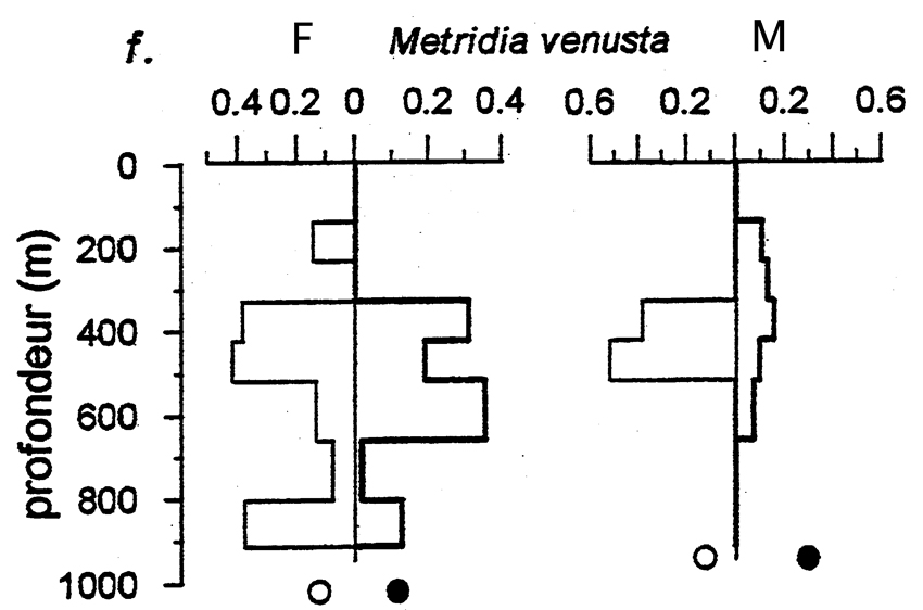 Species Metridia venusta - Distribution map 3