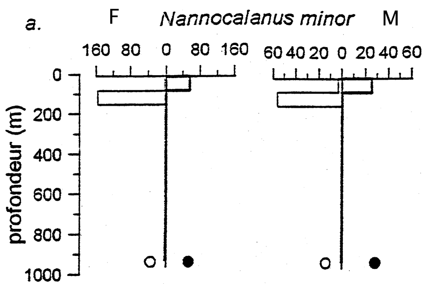 Espèce Nannocalanus minor - Carte de distribution 13