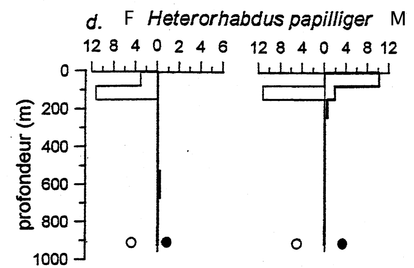 Species Heterorhabdus papilliger - Distribution map 7