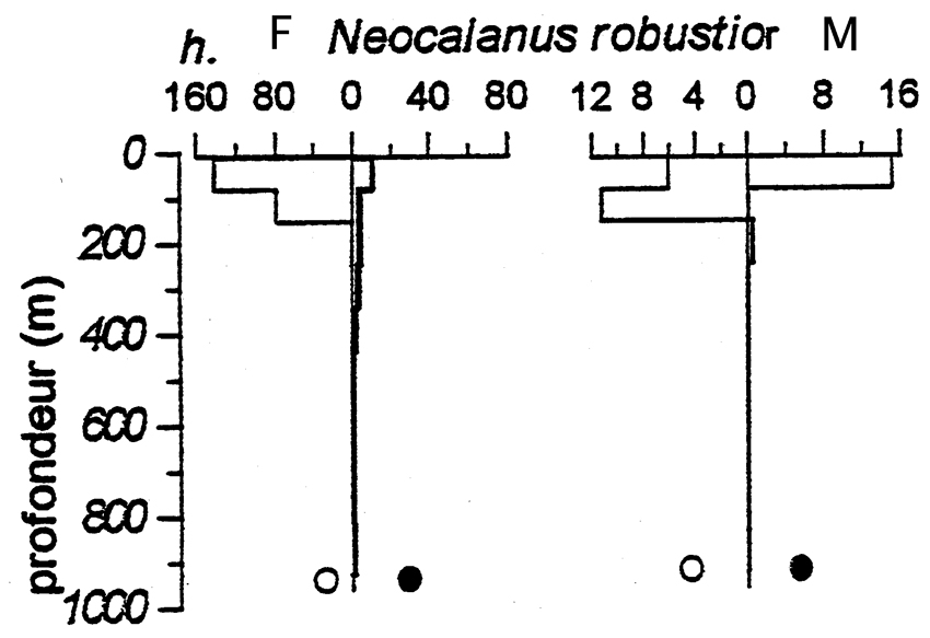 Espce Neocalanus robustior - Carte de distribution 8