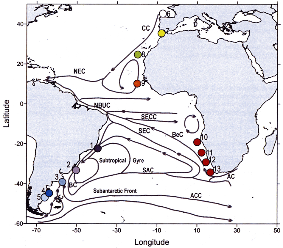 Species Calanoides carinatus - Distribution map 9