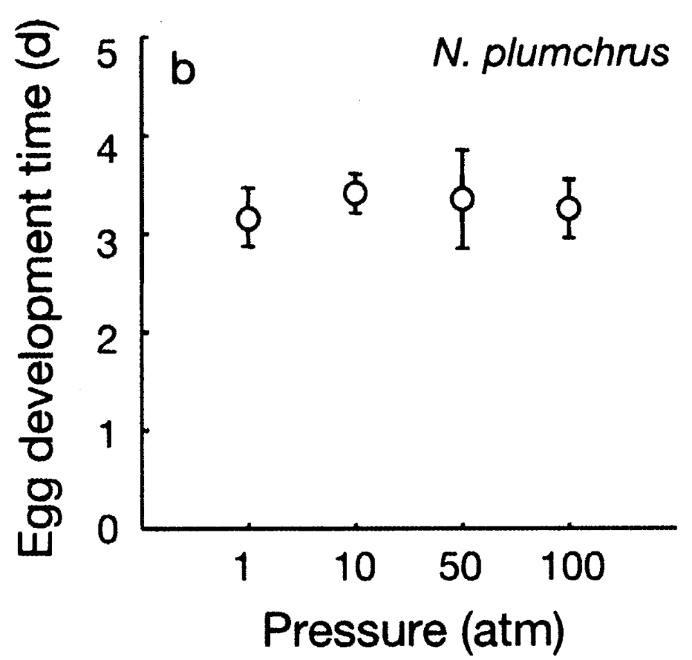 Espce Neocalanus plumchrus - Carte de distribution 14