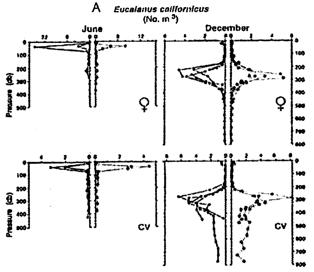 Espce Eucalanus californicus - Carte de distribution 4