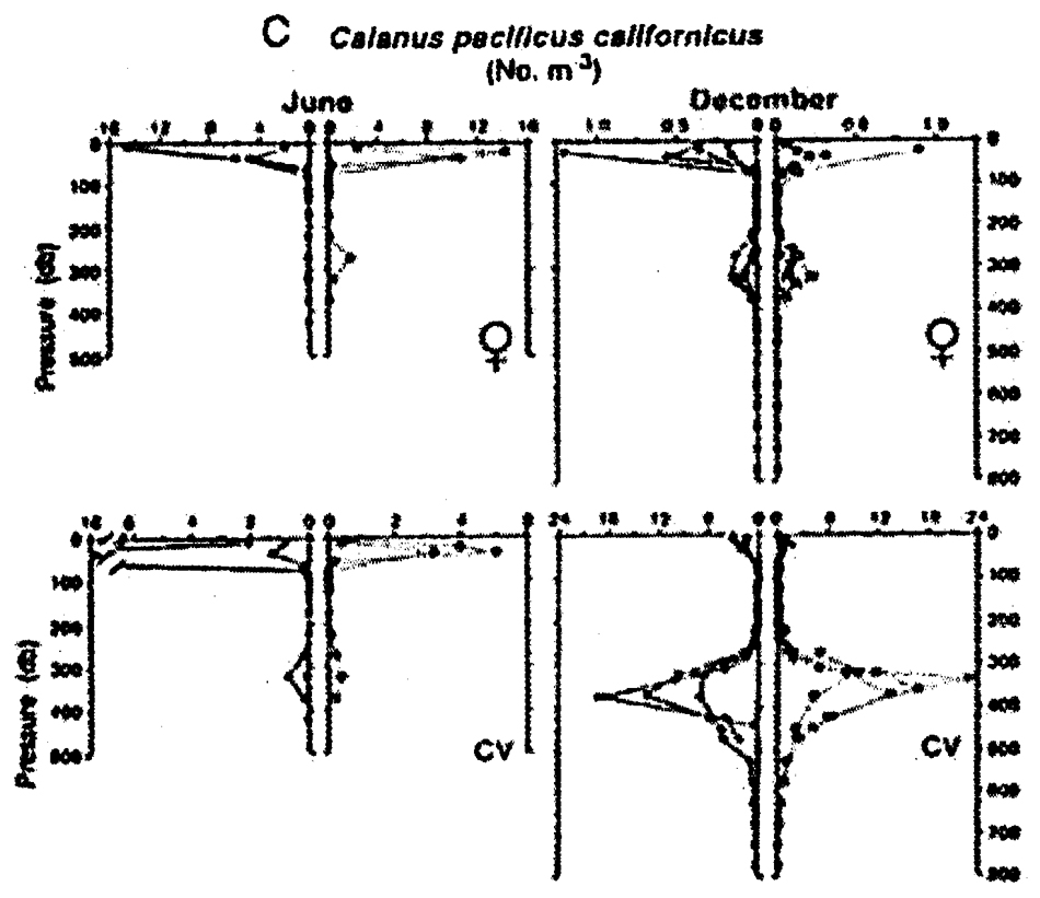 Espce Calanus pacificus - Carte de distribution 19