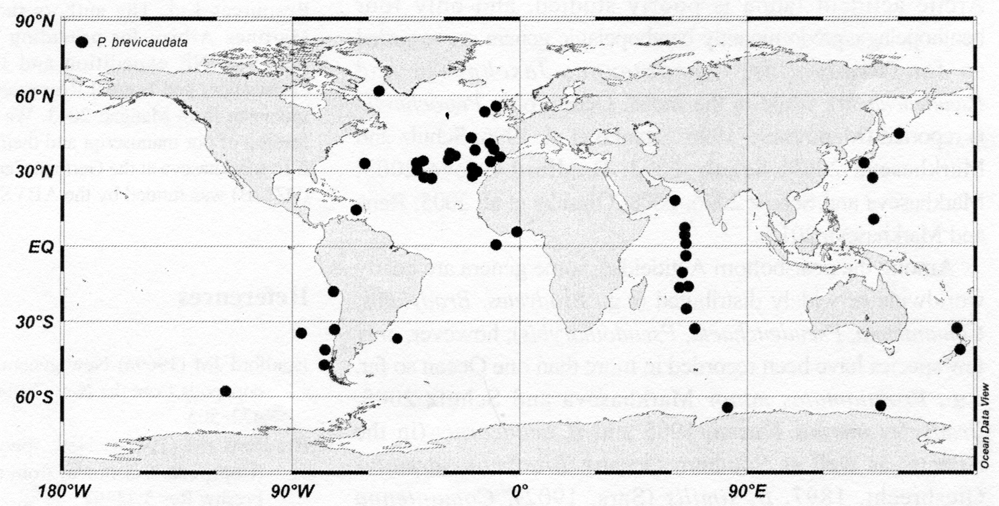 Species Pseudeuchaeta brevicauda - Distribution map 3