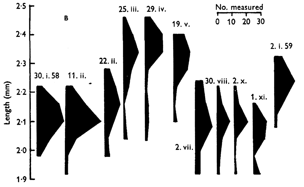 Espèce Pleuromamma abdominalis - Carte de distribution 16