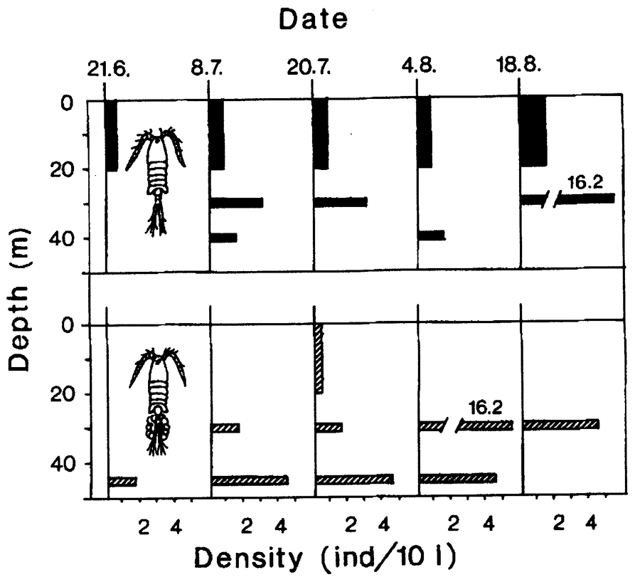 Espce Eurytemora affinis - Carte de distribution 11