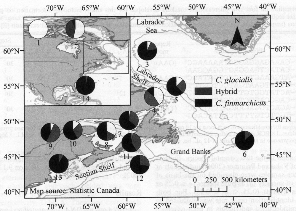 Species Calanus glacialis - Distribution map 59