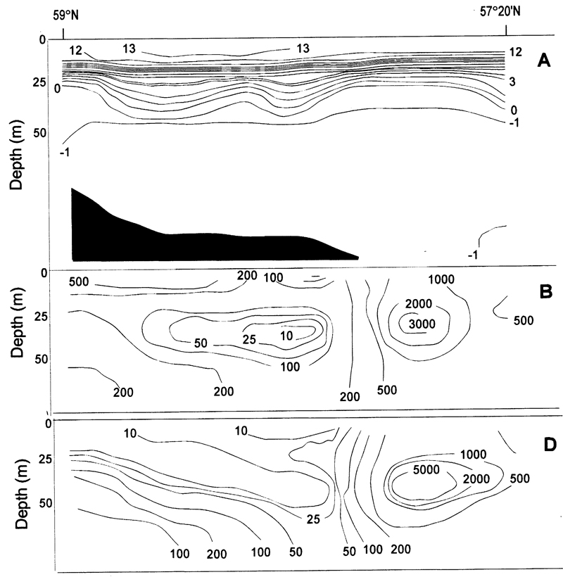 Espce Metridia okhotensis - Carte de distribution 4