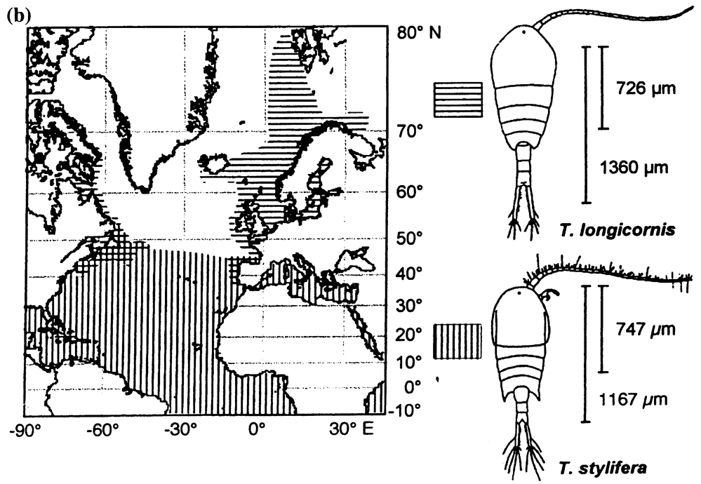 Species Temora longicornis - Distribution map 85
