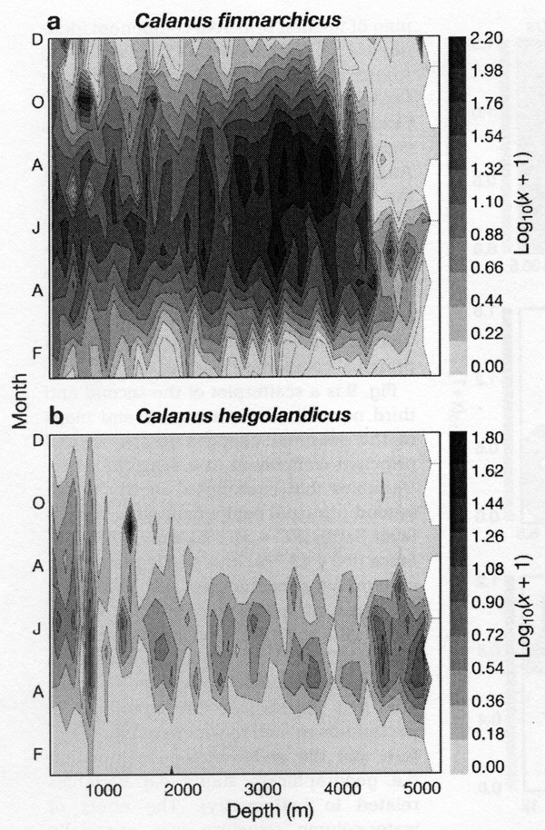 Espce Calanus finmarchicus - Carte de distribution 151