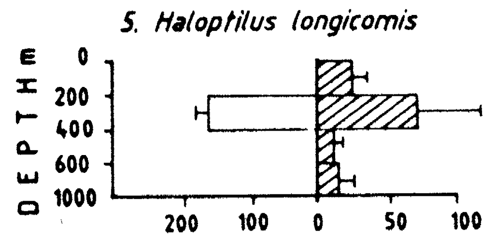 Species Haloptilus longicornis - Distribution map 10