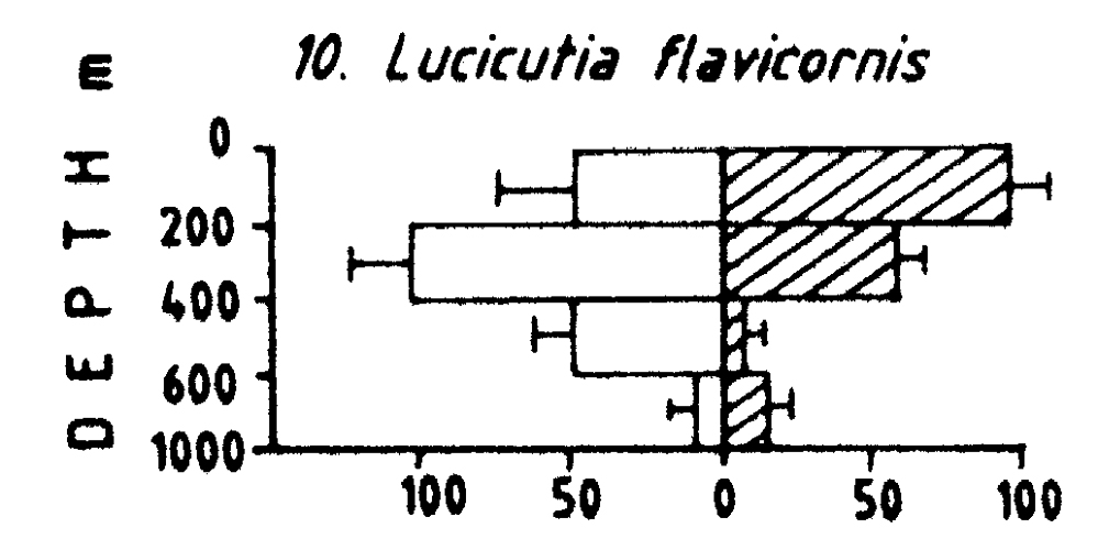 Species Lucicutia flavicornis - Distribution map 11