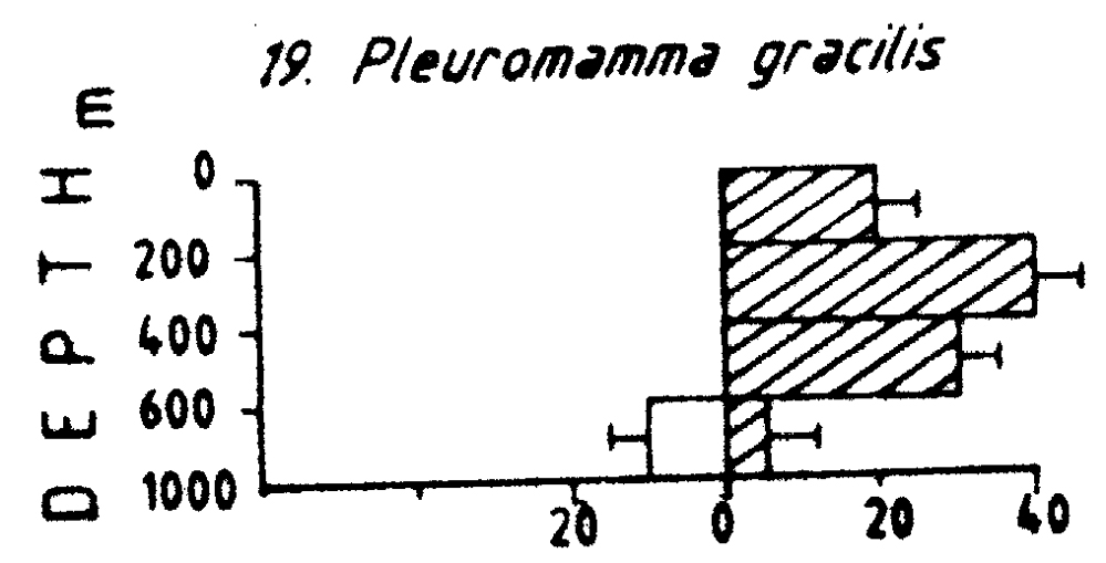 Espce Pleuromamma gracilis - Carte de distribution 14