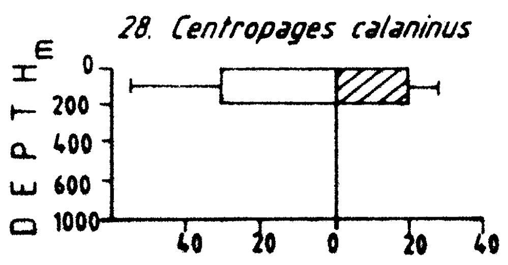 Espce Centropages calaninus - Carte de distribution 3