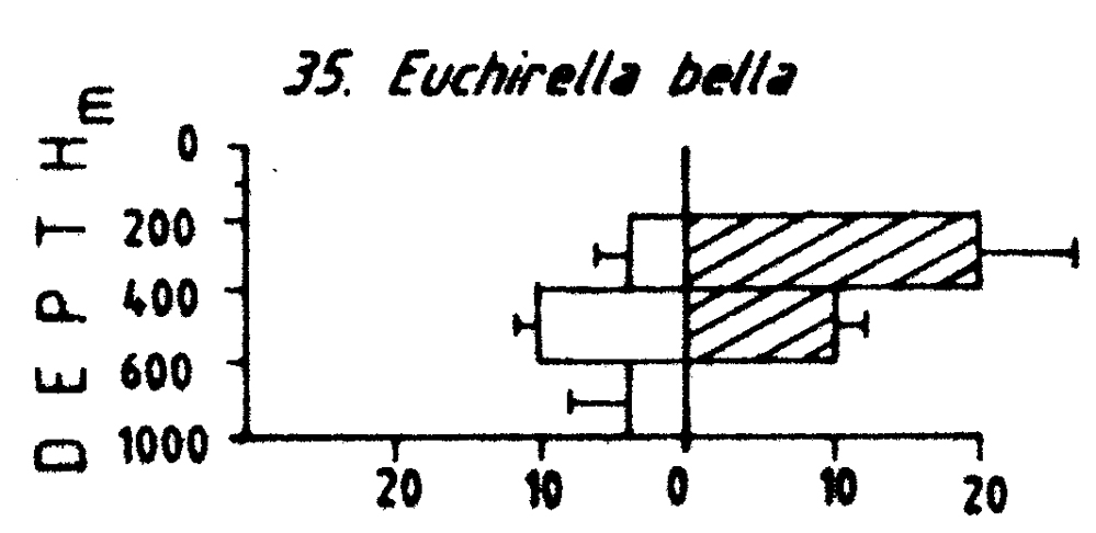 Espèce Euchirella bella - Carte de distribution 2