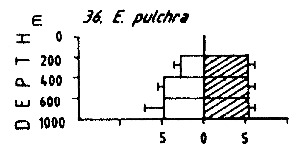 Espèce Euchirella pulchra - Carte de distribution 4